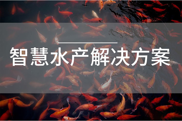 智慧水產(chǎn)養(yǎng)殖解決方案.jpg